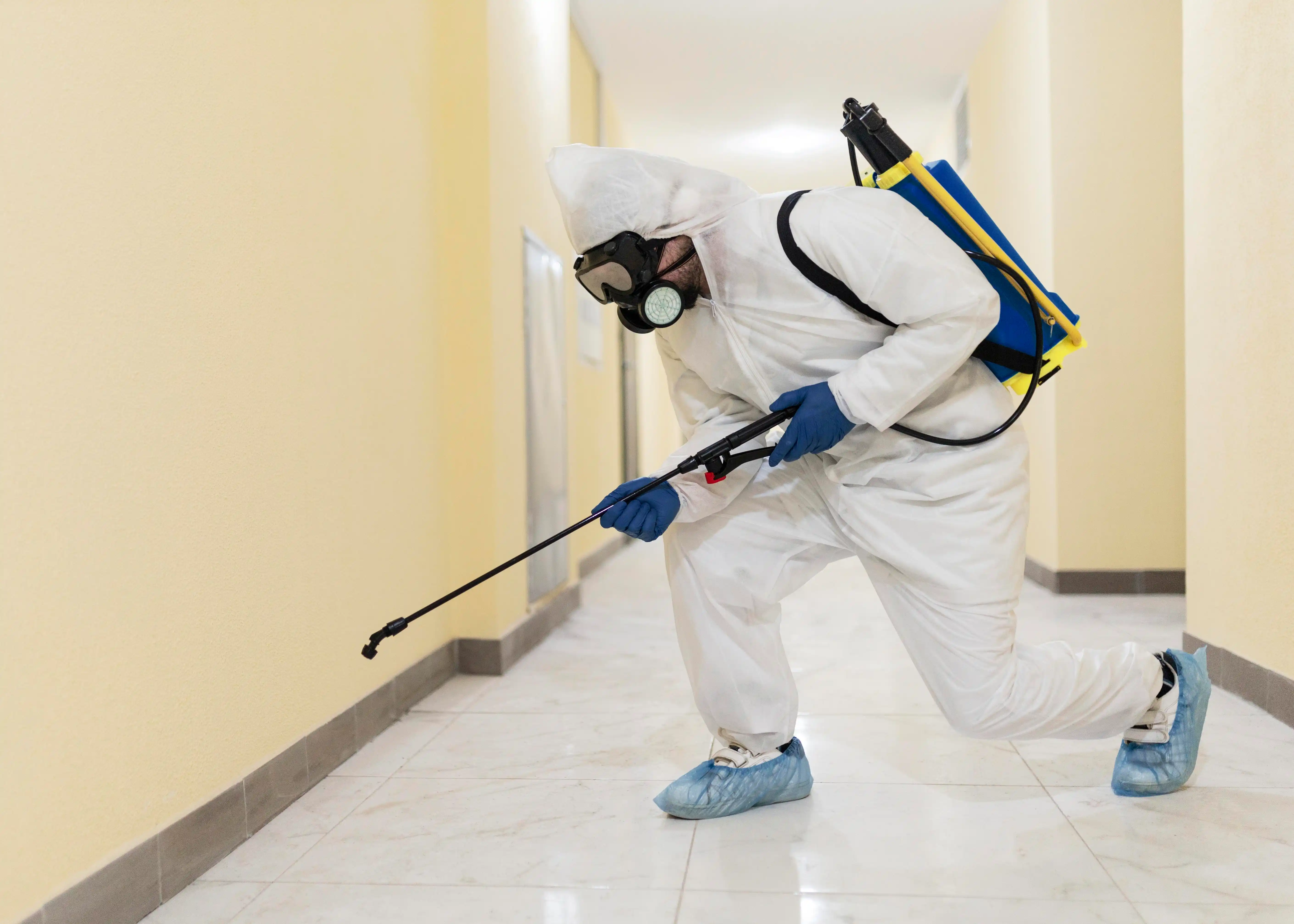 Pest Control Service in G e road raipur 