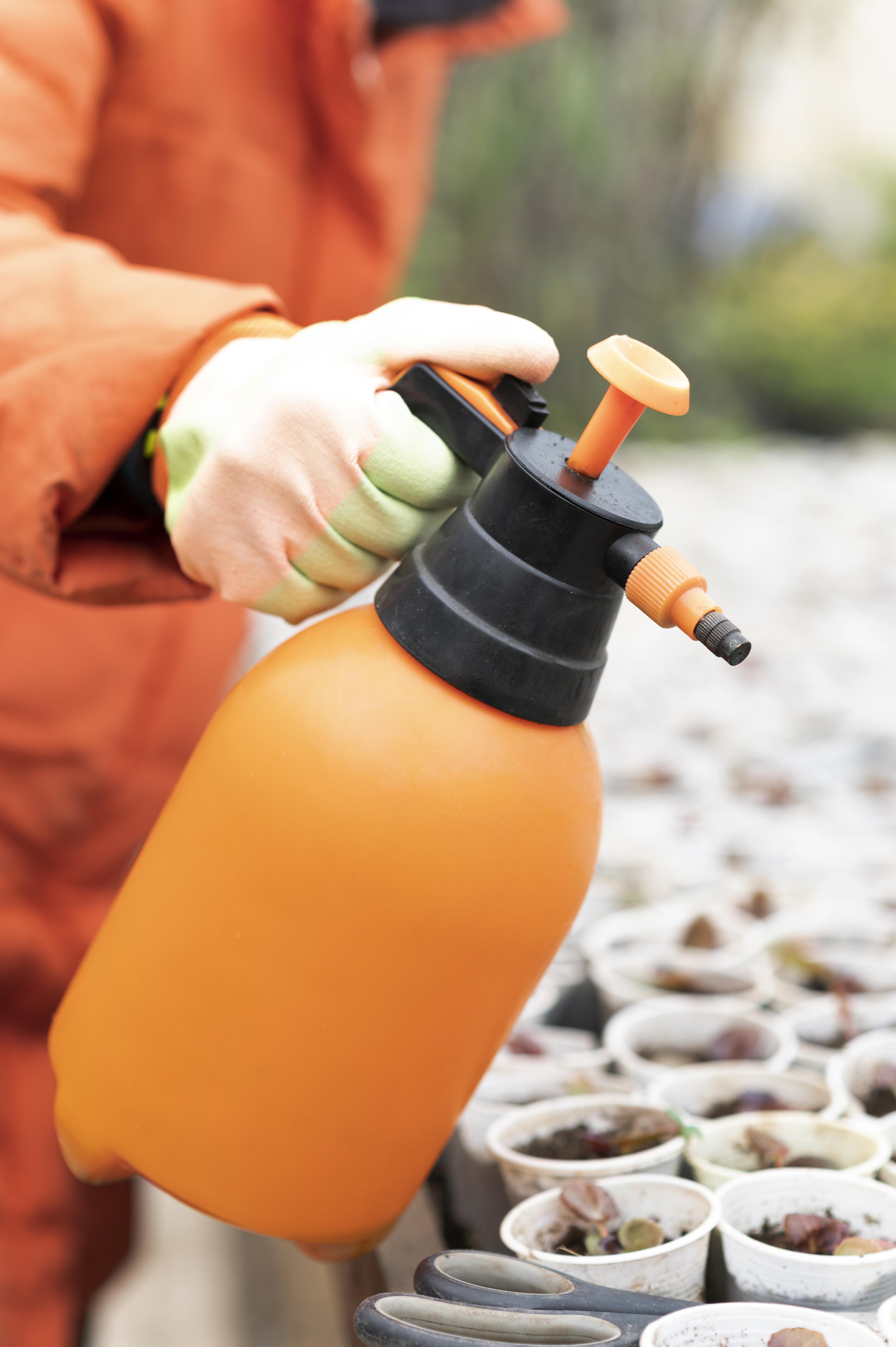 Pest Control Service in G e road raipur 